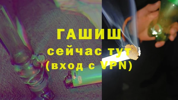 гидра Заводоуковск