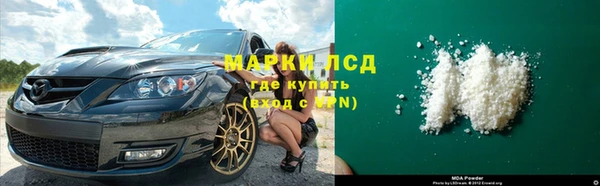 гашик Зеленокумск