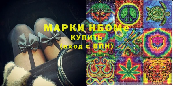 гидра Заводоуковск