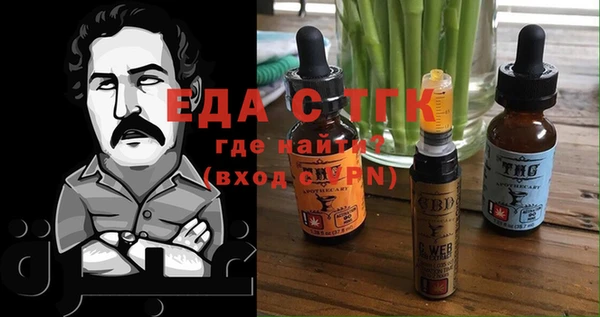 гидра Заводоуковск