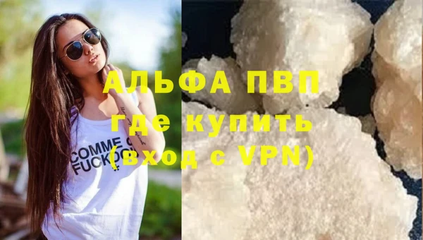 гидра Заводоуковск